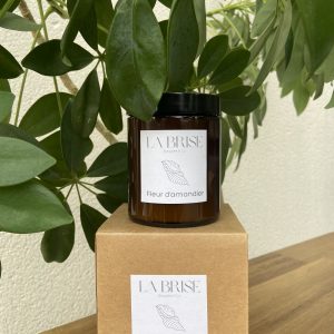 BOUGIE FLEUR D'AMANDIER