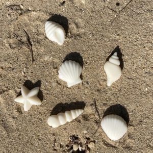 FONDANT COLLECTION ÉTÉ